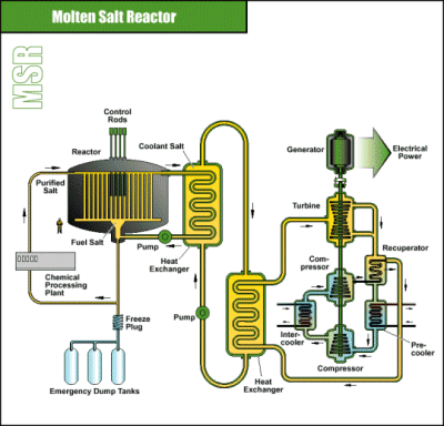 Reaktor typu MSR